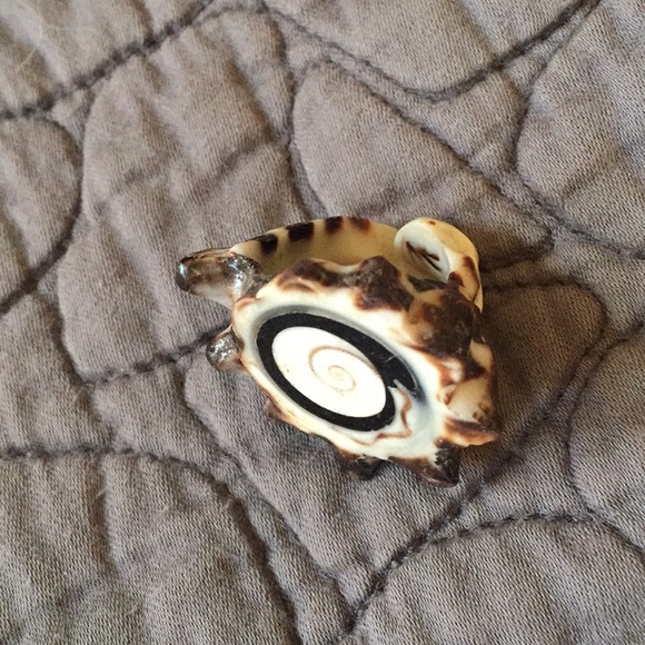 Shell Ring Handmade in Greece - Picture 4 of 5